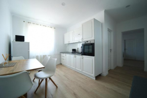 Cosy Penthouse, Oradea
